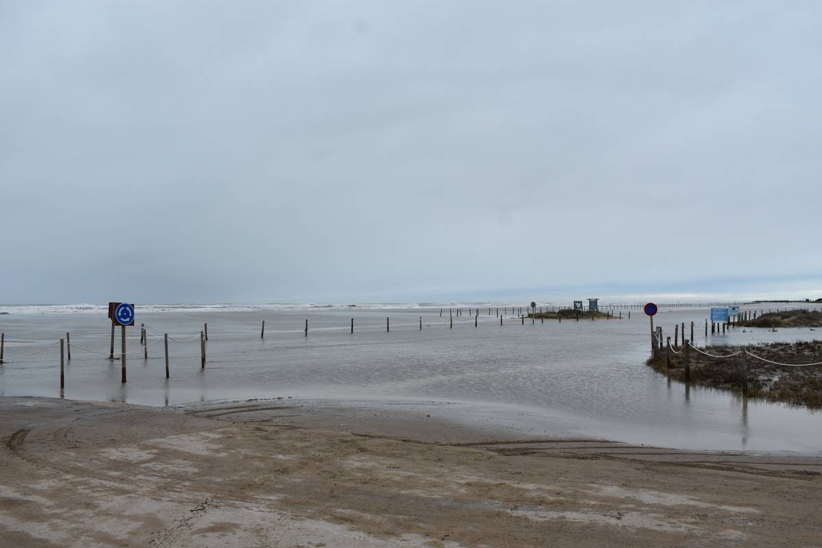 La llevantada torna a inundar els espais més fràgils del delta de l'Ebre