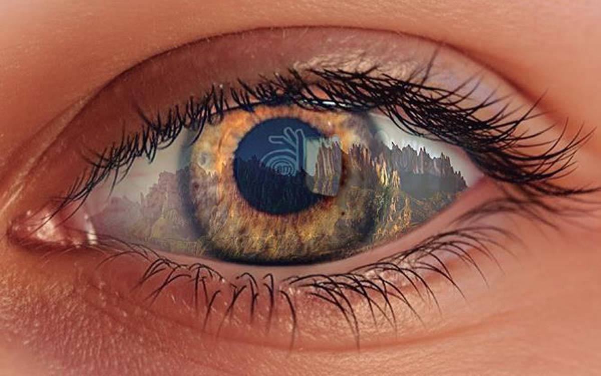 Manresa commemorarà les trajectòries de Foto Art Manresa i Míriam Ponsa en dues exposicions