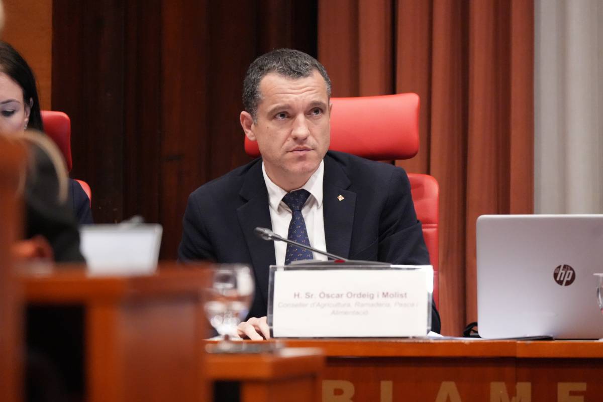 Ordeig avança que hi haurà més senglars positius en PPA