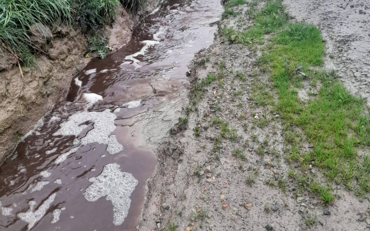 El Grup de Defensa del Ter denuncia un abocament a la riera del Poquí de Manlleu