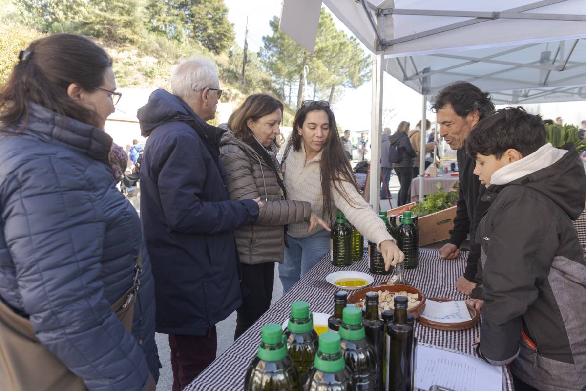 Una trentena de parades a la Fira de l’Oli i l’Olivera