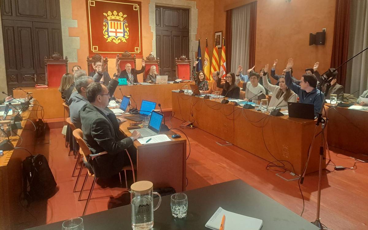 Francesc Comas rebrà la Medalla de la Ciutat al Mèrit Cultural el proper 3 de març