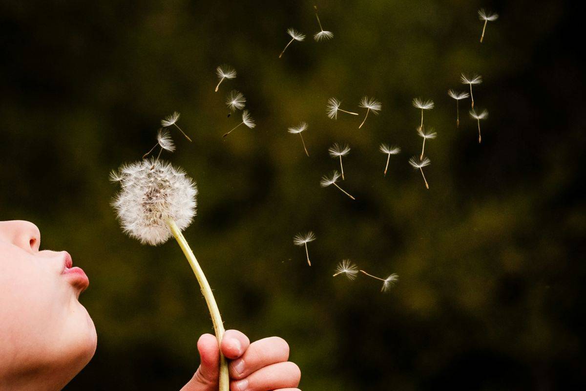 Què espera la comunitat de Criar del 2026?