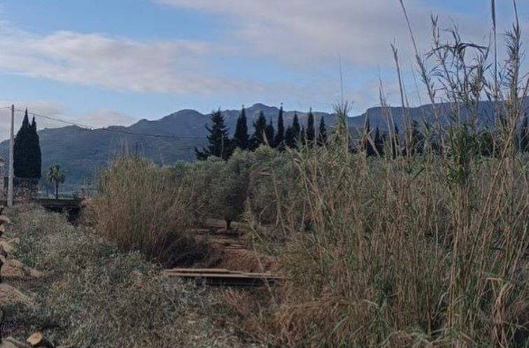 Amposta inicia la recuperació de l’antiga sèquia mare per evitar inundacions als Ullals de Baltasar