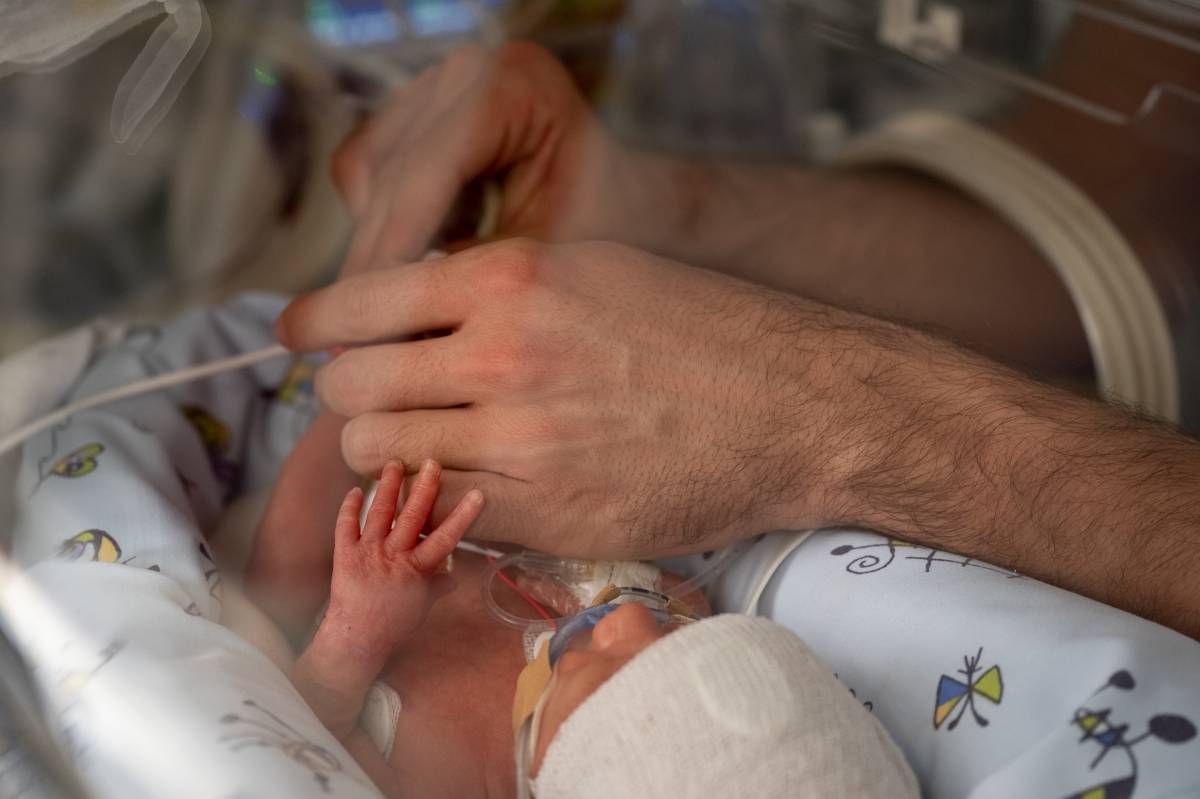 Assagen un mètode innovador perquè els prematurs extrems rebin sang de cordó umbilical 