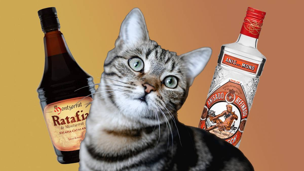 Emborratxar-se en català: paraules nostres per perdre el nord