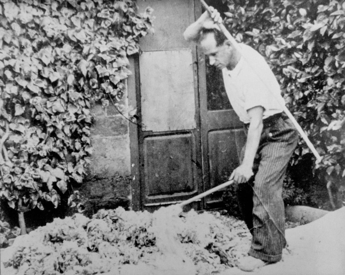 Antoni Martínez Salas, picant la llana d`uns dels matalassos que va fabricar - Antoni Martínez Salas, picant la llana d`uns dels matalassos que va fabricar