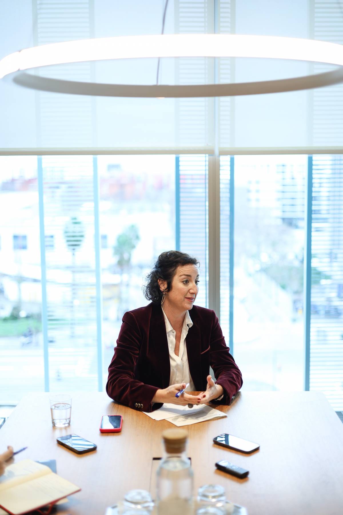 La consellera d`Economia i Finances, Alícia Romero - Víctor Castillo La consellera d`Economia i Finances, Alícia Romero