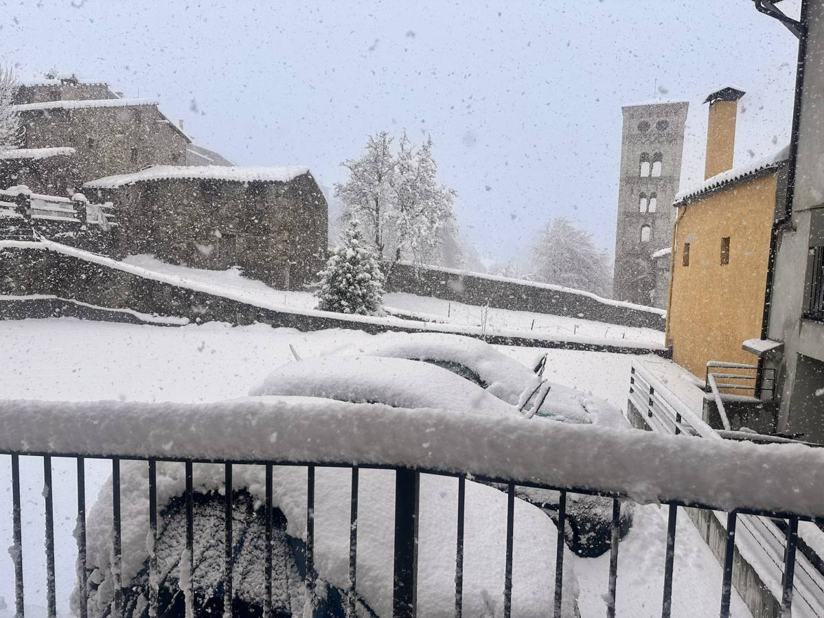 Un hivern com els d'abans: la neu emblanquina mig Catalunya