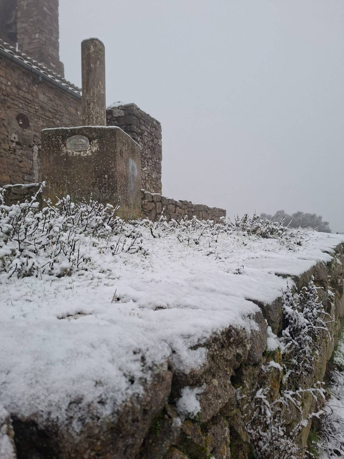 Neva a la Mola - Cedida Neva a la Mola