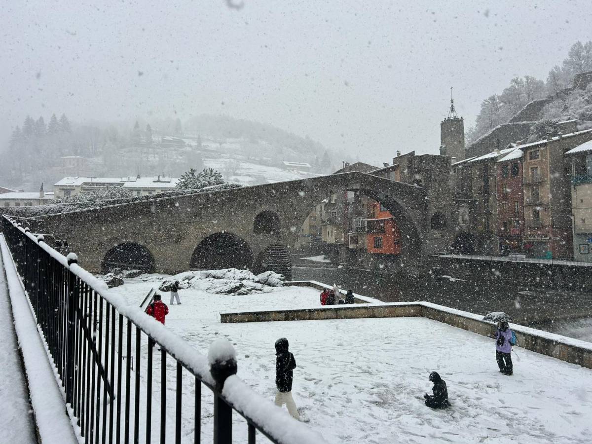 Cedida per Laia Sospedra