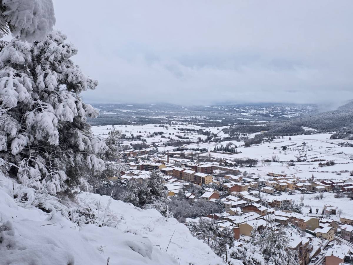 Cedida per Àlex López