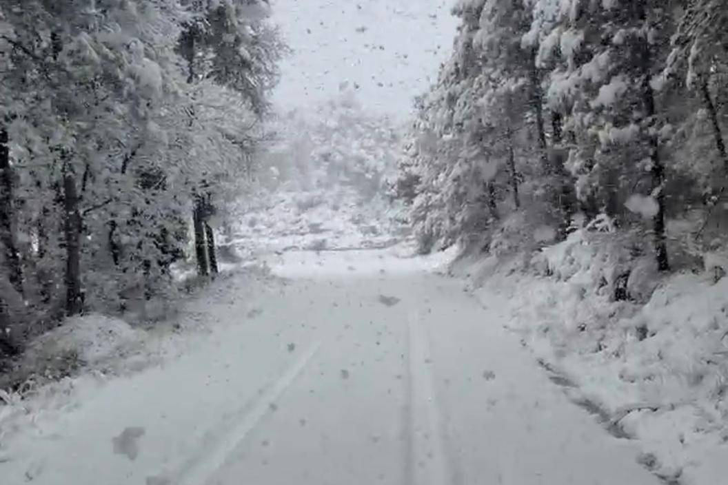 Una nevada a primera hora del dissabte col·lapsa el Solsonès