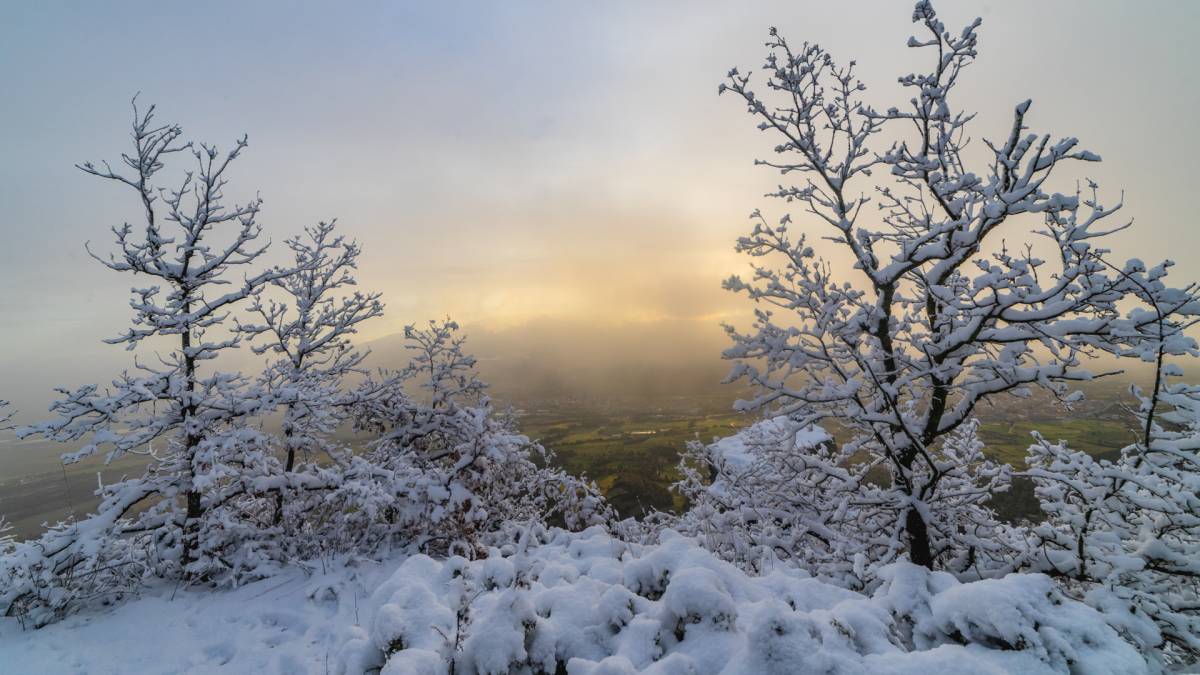 Es manté l'avís taronja per neu i vent a una vintena de comarques aquest dilluns