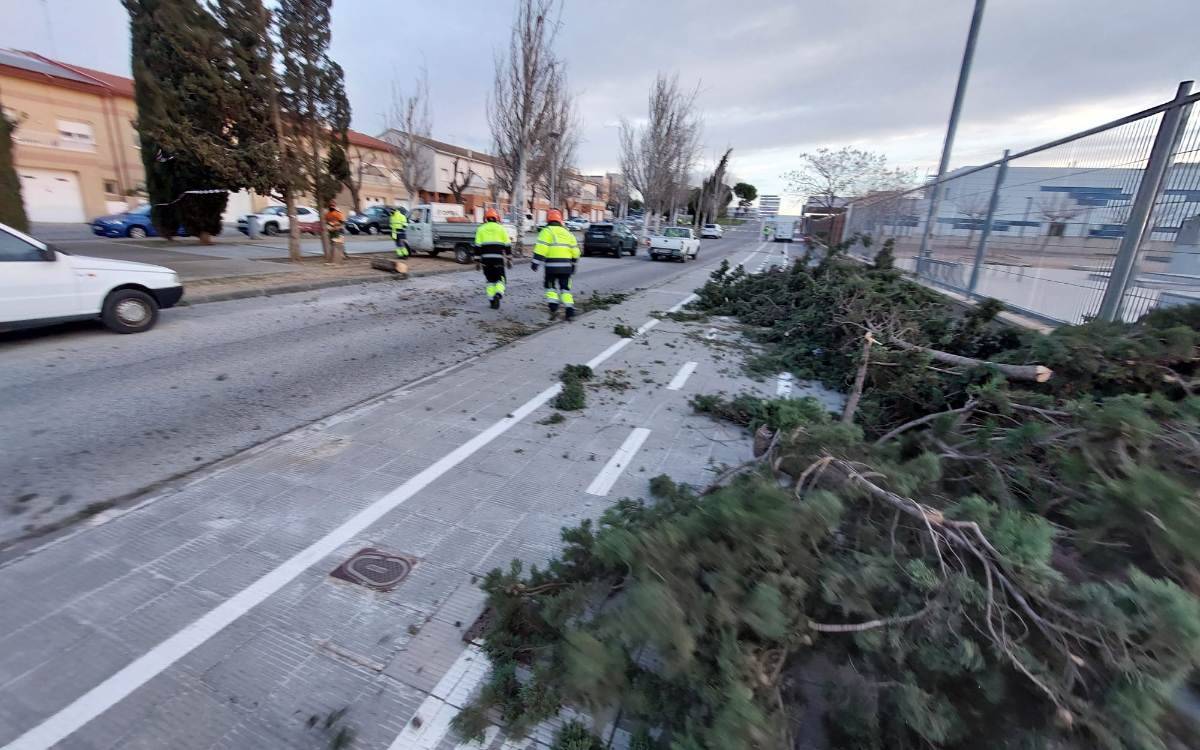 Les ratxes de vent més de 140 km/h causen importants desperfectes als carrers de Valls