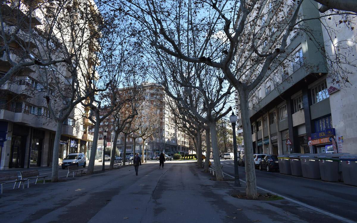 L'Ajuntament de Manresa iniciarà dimarts els treballs per substituir sis plataners al Passeig