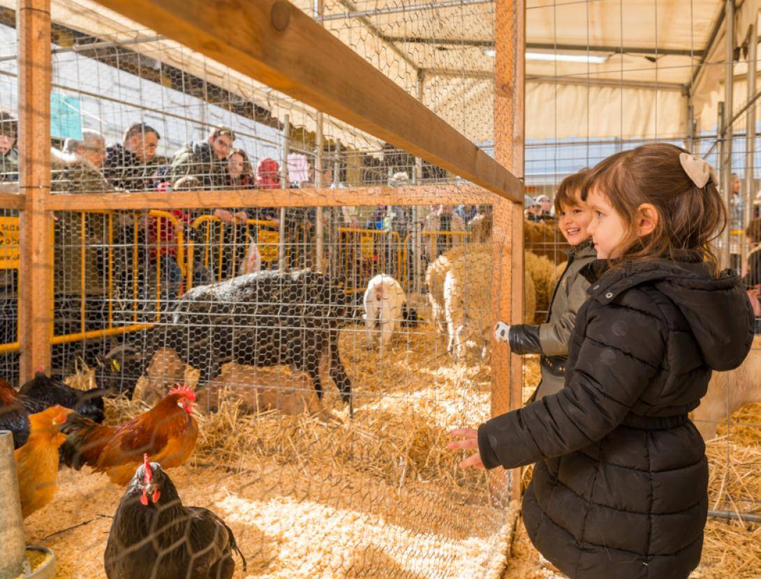 Què fer amb nens i nenes aquest cap de setmana: activitats del 31 de gener i 1 de febrer de 2026