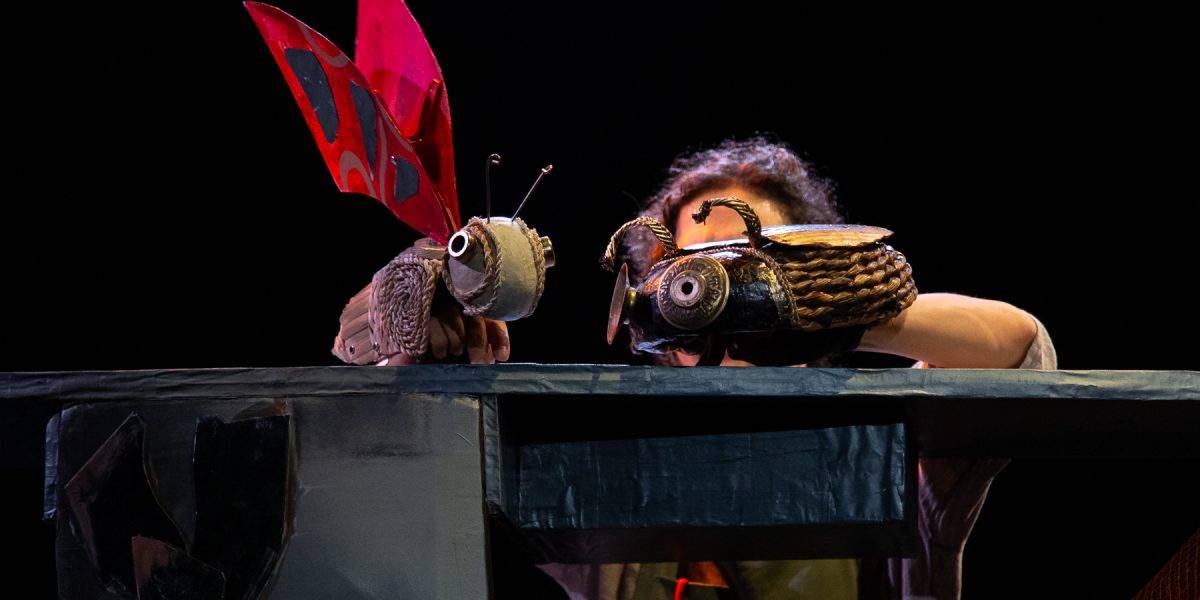 El vol de les papallones 