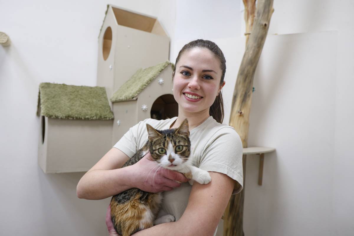 El cat cafè de Sabadell, una porta a l'adopció de gats
