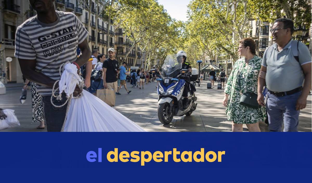 Darrere la regularització