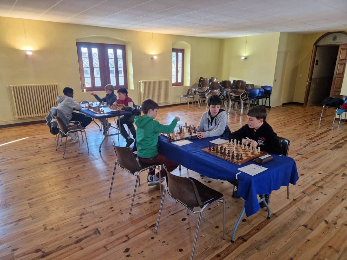 Bé per l’Elefant B