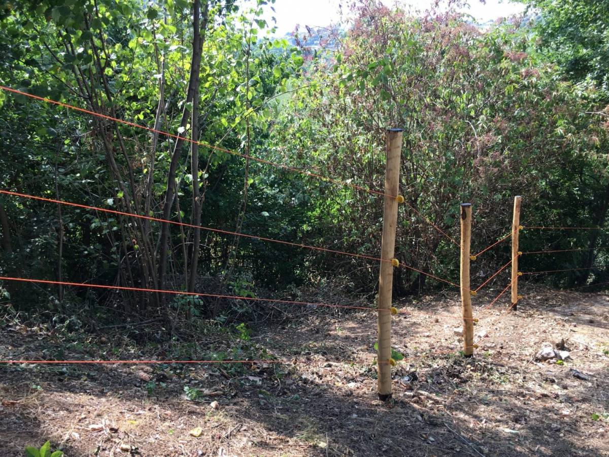 Pastors Elèctrics de Gemi Elettronica: la solució segura i eficient per al control d’animals