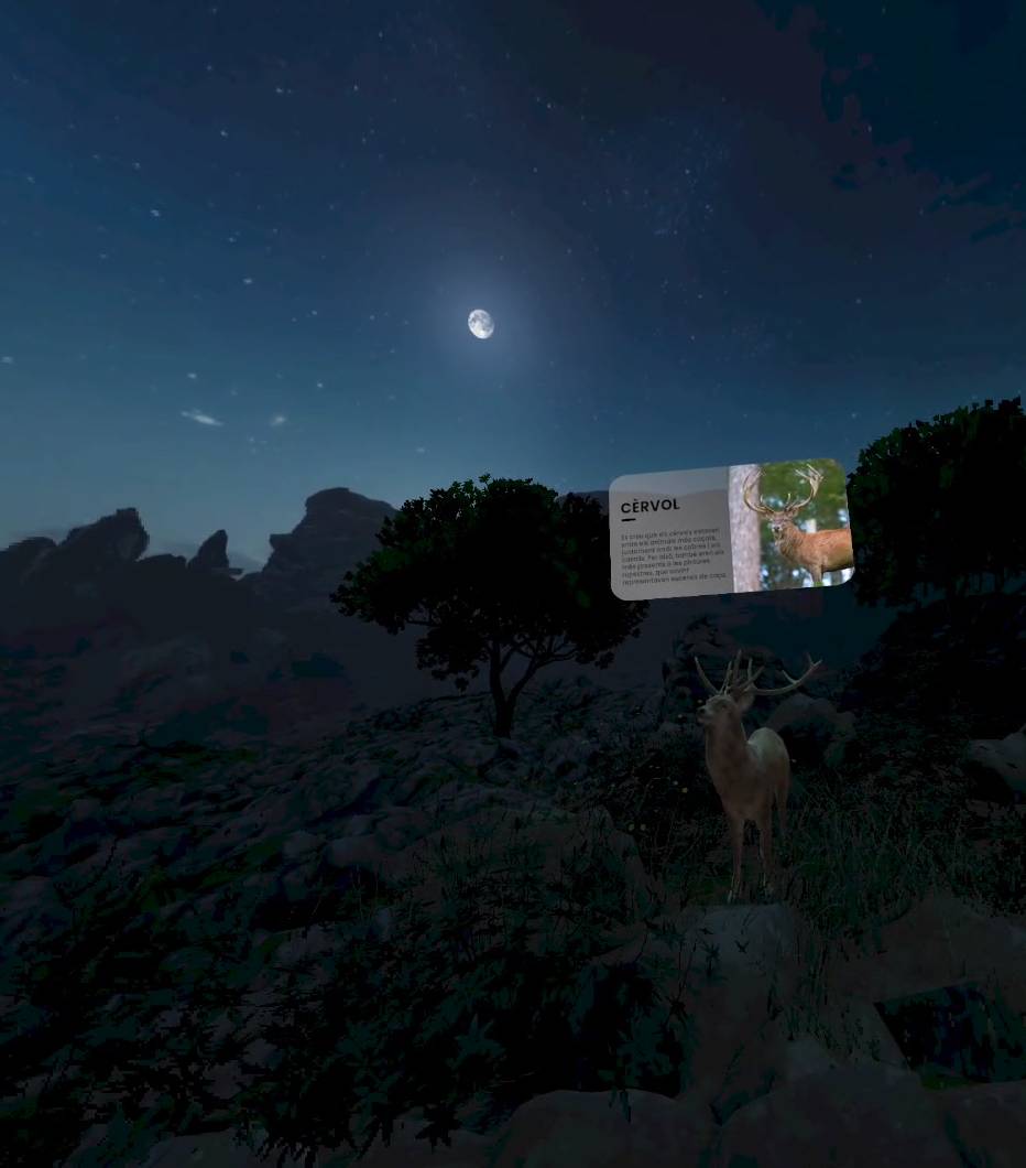 Un frame de l`experiència immersiva - Agència Catalana del Patrimoni Cultural Un frame de l`experiència immersiva