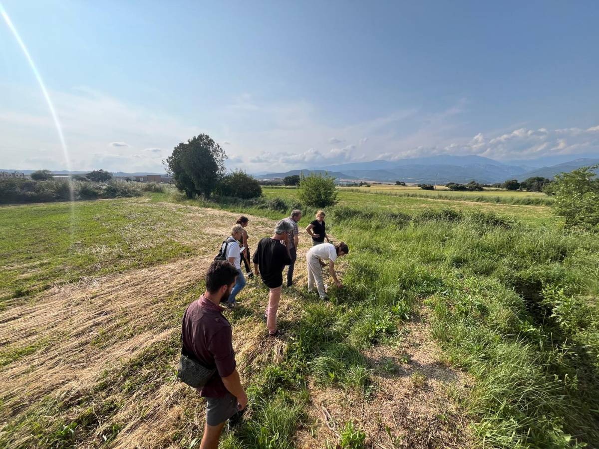 6_Curs_Avaluació-sòls_EAS - Escola Agrària del Solsonès 