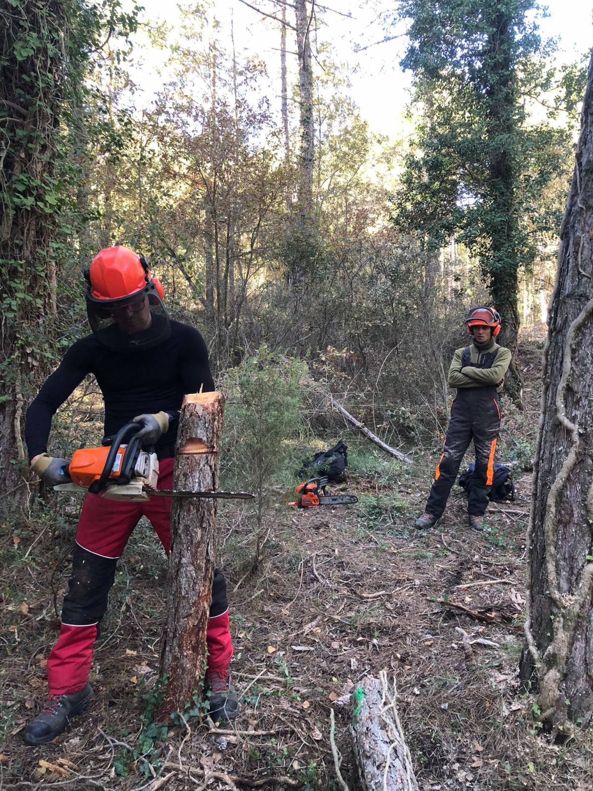 4_Preparació_ECC1-2_serra-mecànica_EAS - Escola Agrària del Solsonès 