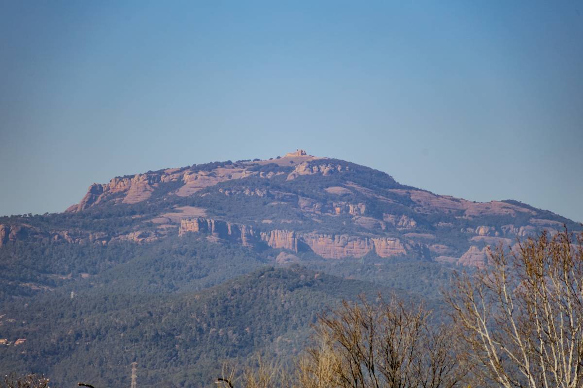 Obren la via del Bosch Perdut a la Mola: 