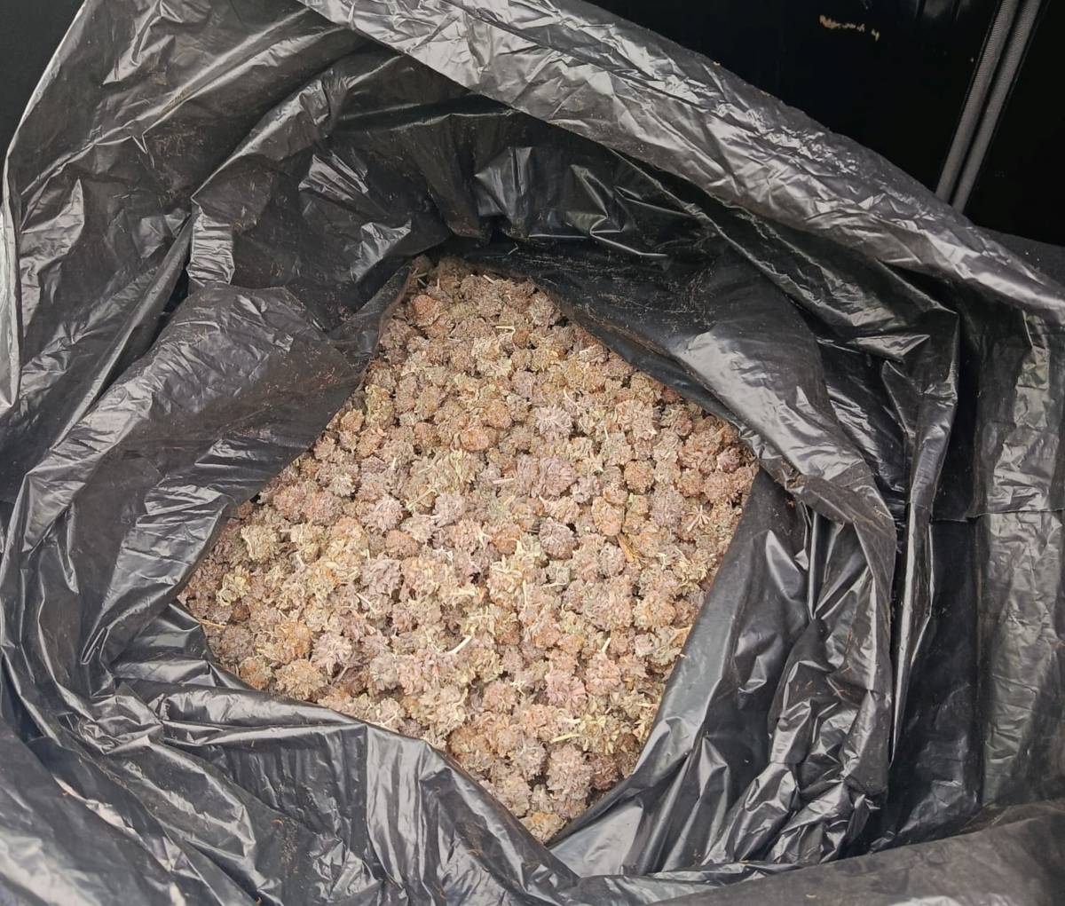 Aturen un vehicle a la Segarra per circular amb la ITV caducada i hi troben dos quilos de marihuana 