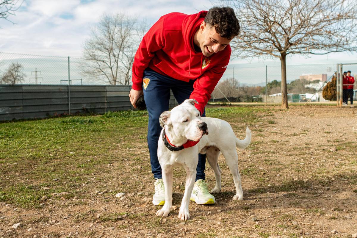 Campanya a l’Estadi Olímpic per fomentar les adopcions d’animals