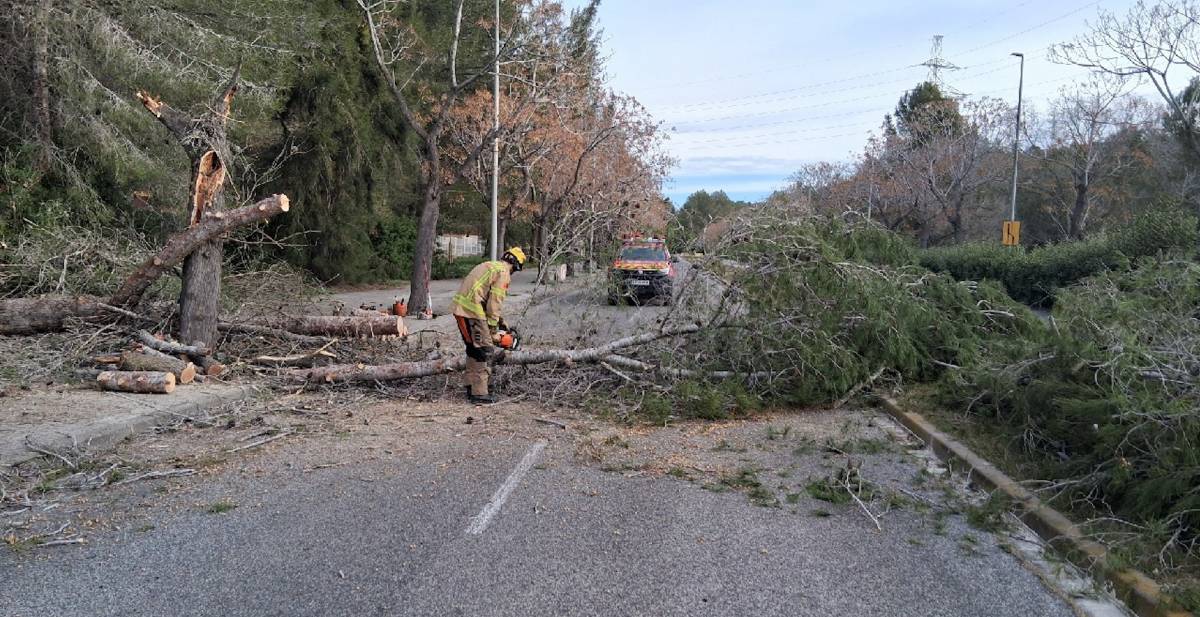 Ventada a la vista: avís del Meteocat per a 15 comarques