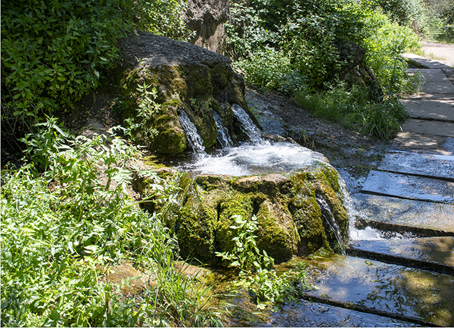 Les fonts de Rellinars. Autor: XPN - Les fonts de Rellinars. Autor: XPN