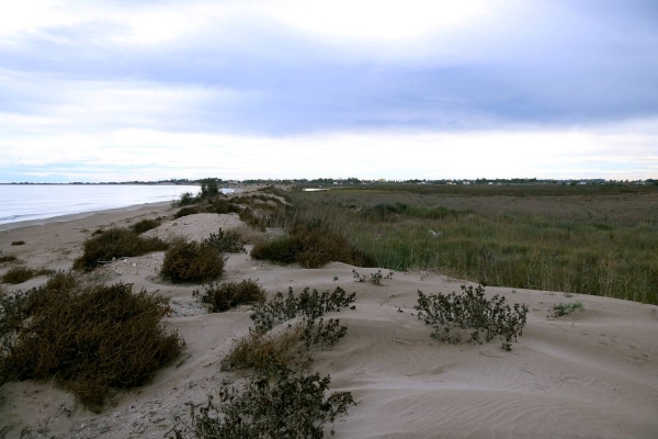 Deltebre lamenta que el govern espanyol insisteixi en un atermenament que amenaça el municipi i el Delta