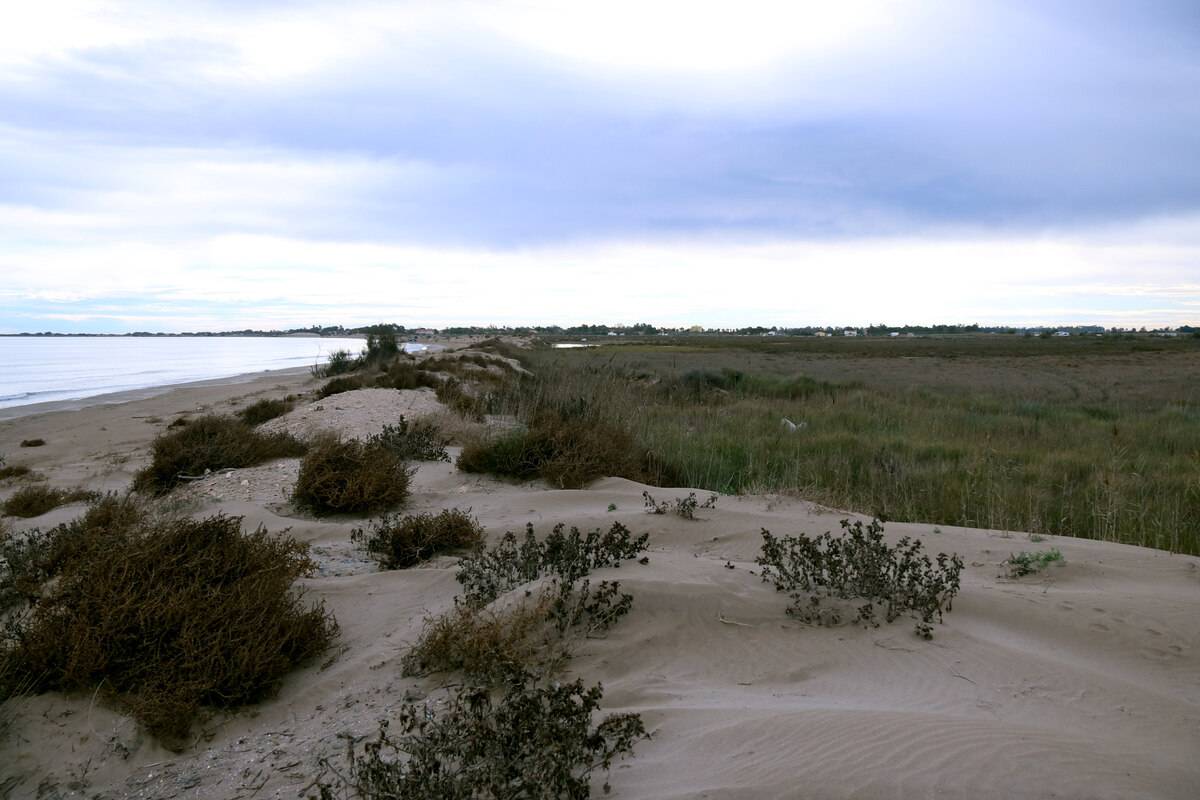 Deltebre lamenta que el govern espanyol insisteixi en un atermenament que amenaça el municipi i el Delta