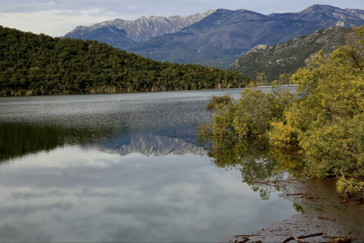 Els embassaments, plens sis anys després