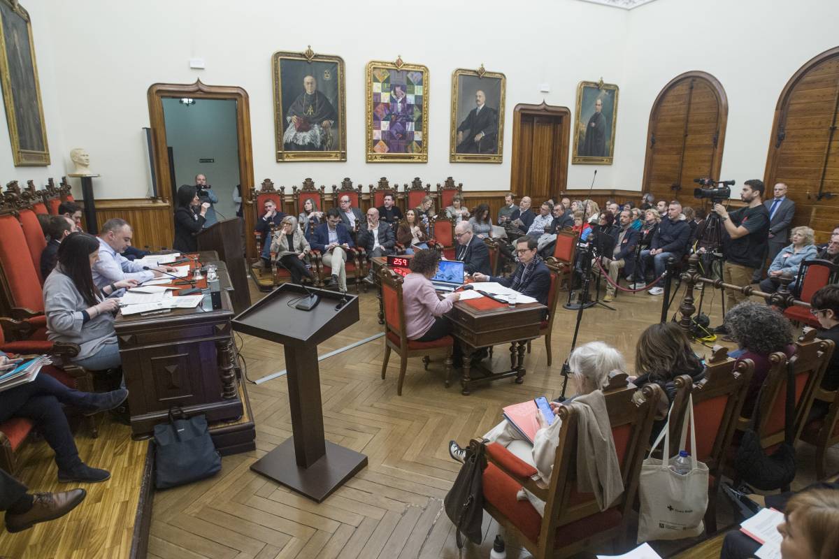Ple municipal de Terrassa aquest divendres al matí - Nebridi Aróztegui