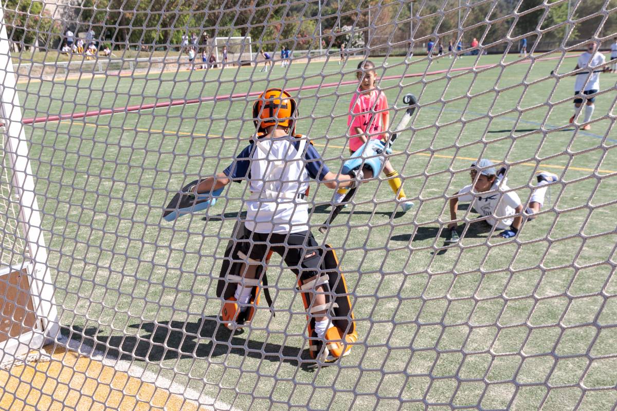 Terrassa té el 42% de les fitxes del hockey català