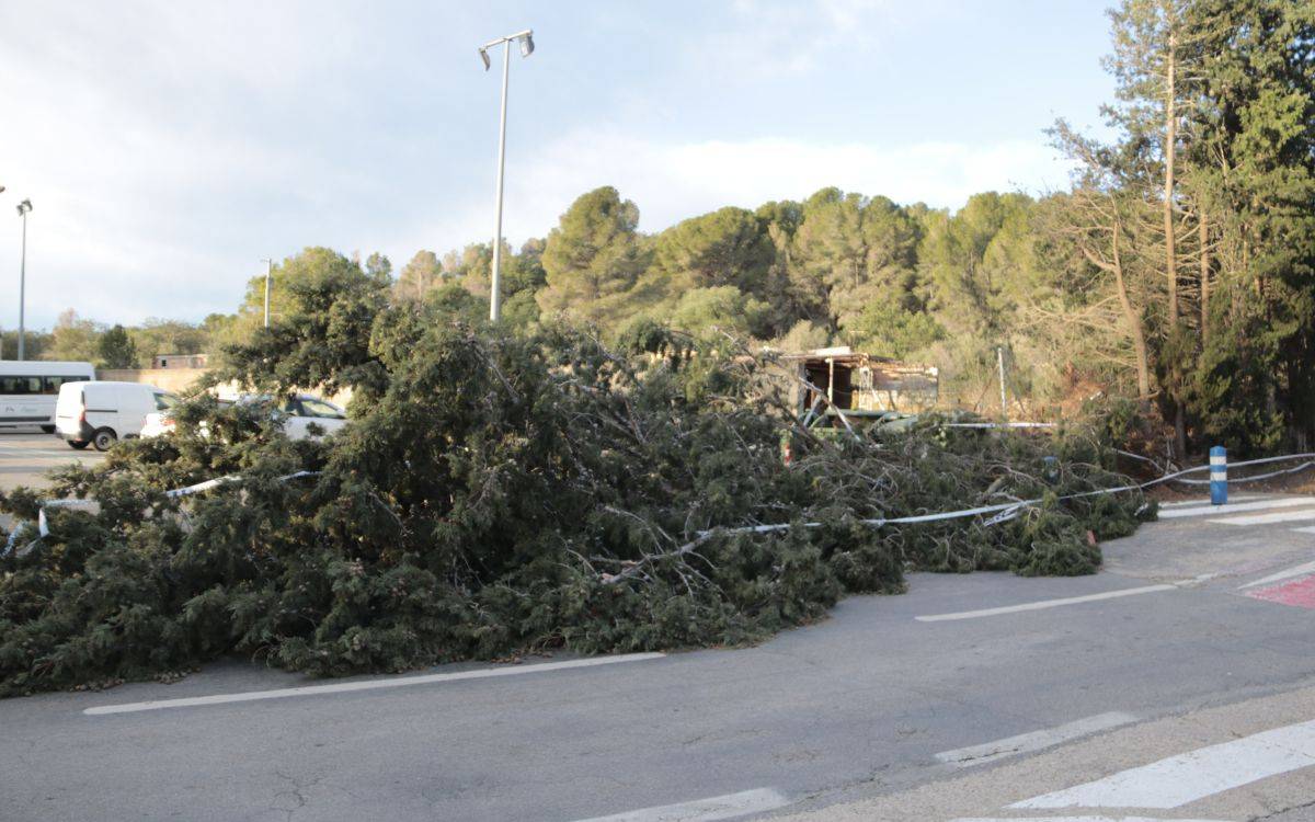 El vent provoca nombroses incidències al Camp de Tarragona amb ratxes de fins a 140 km/h