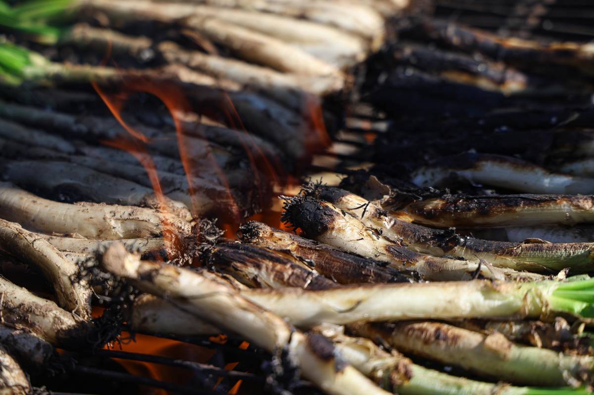 La calçotada popular de les Bruixes del Nord - VÍCTOR CASTILLO La calçotada popular de les Bruixes del Nord