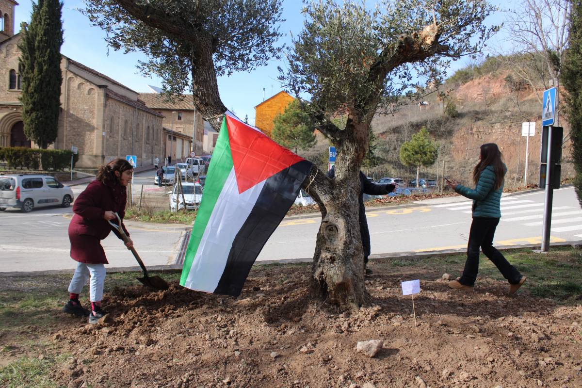 Voluntàries arranjant el terreny  - Ramon Estany 