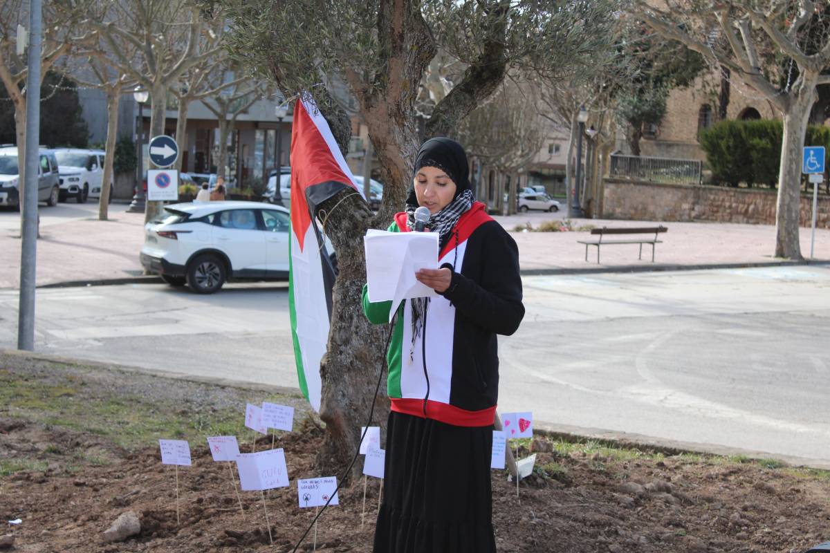 S'ha llegit un manifest en català i àrab  - Ramon Estany 