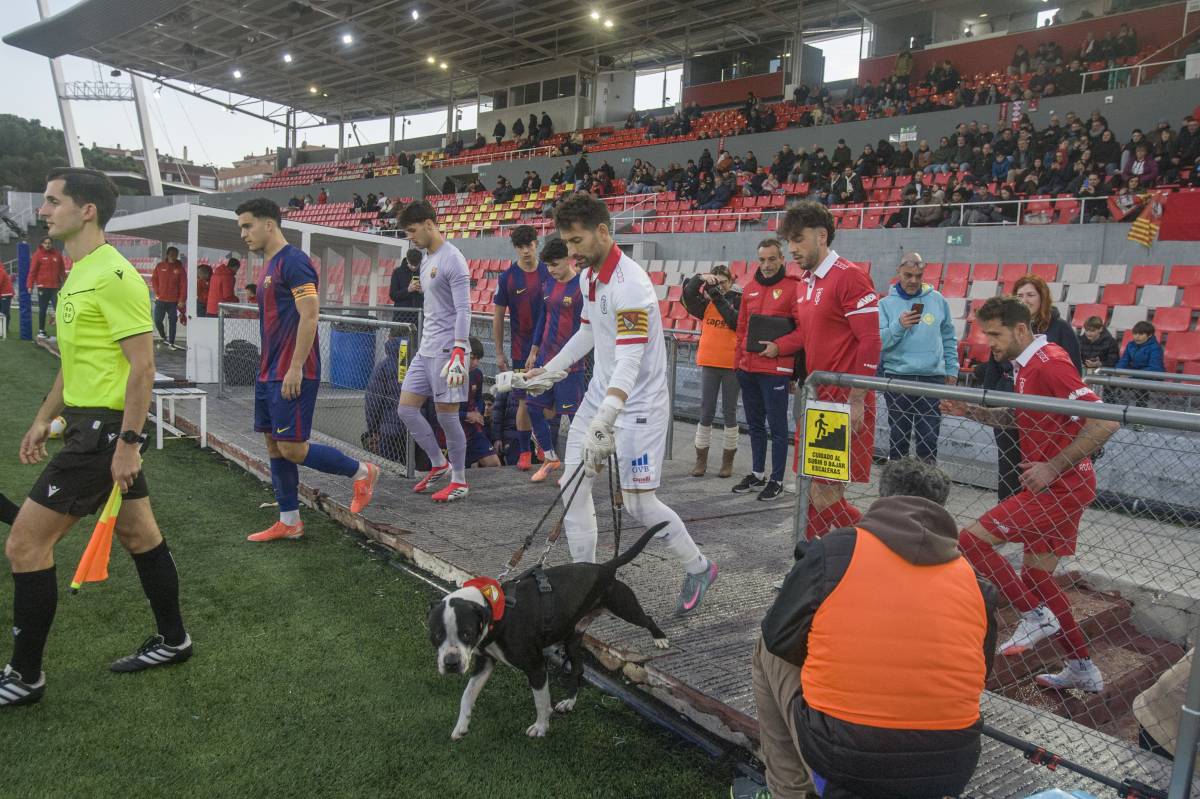 FOTOS | Derrota del Terrassa FC a casa contra el FC Barcelona Atlètic