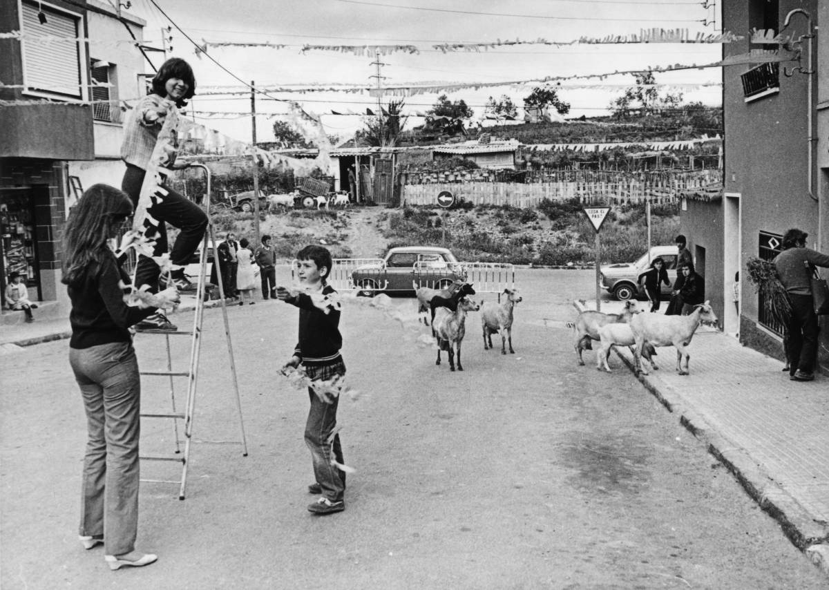 Moment per decorar i unes cabres atentes