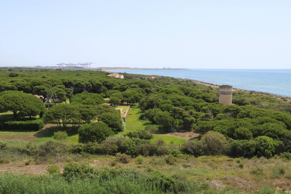 Veïns i ecologistes demanen al Govern un «canvi de 180 graus» per protegir el Delta del Llobregat
