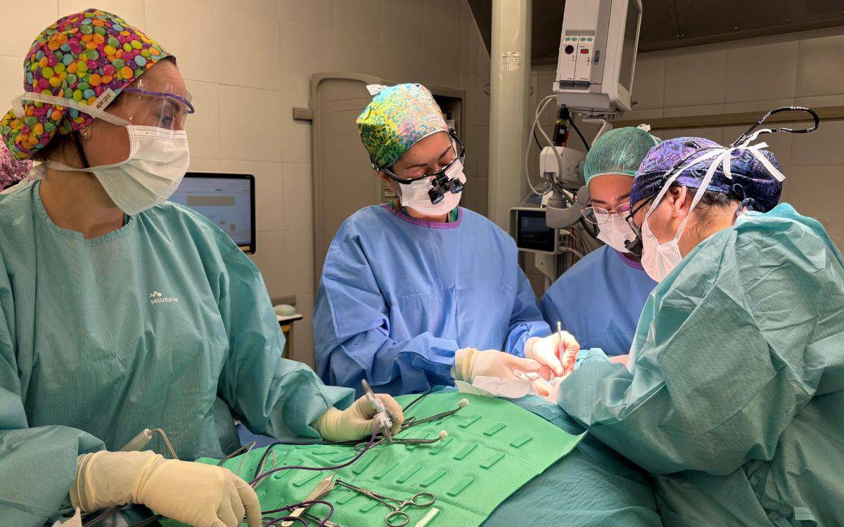 L'Hospital Joan XXIII de Tarragona atén una trentena de nous casos de càncer de tiroide cada any