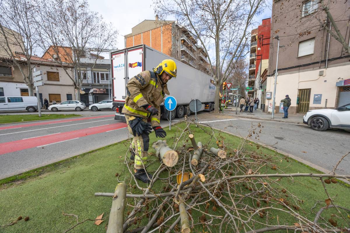 Un tràiler trenca una branca i un semàfor a Sabadell - Juanma Peláez