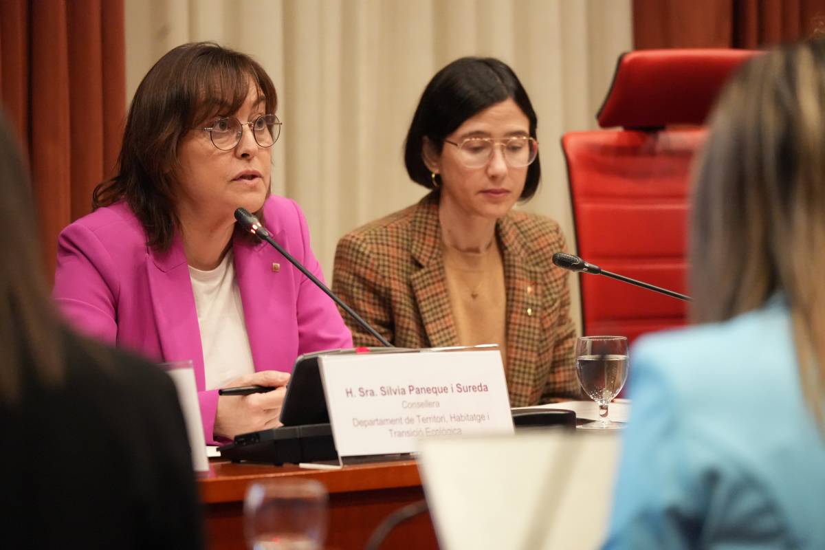 El Govern mantindrà la gratuïtat de Rodalies fins a la «restitució completa» del servei