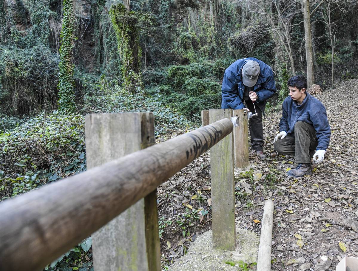 “Han de garantir la inclusió de persones amb discapacitat”